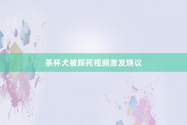 茶杯犬被踩死视频激发烧议
