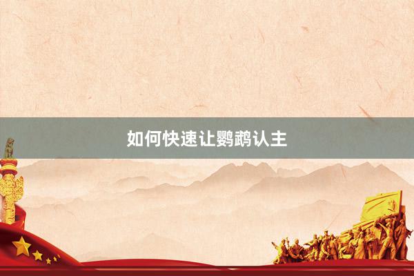 如何快速让鹦鹉认主
